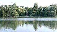 Lake photos at Molyneux 