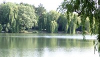 Lake photos at Molyneux 