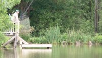 Carp lake at Morgane carp lake in France. 