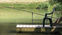 Carp lake at Morgane carp lake in France. 