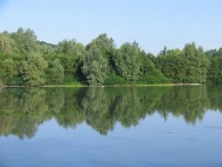 Small Island at Molyneux carp lake in France. 