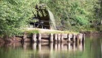 Lake photos at Old Oaks 