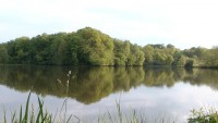 Lake photos at Alder 