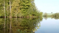 Lake photos at Alder 
