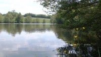 Lake photos at Alder 