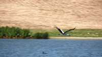 Lake photos at Boux 