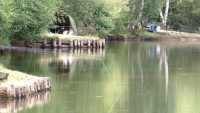 Lake photos at Old Oaks 