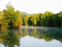 The Channel at Molyneux carp lake in France. 