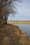 One of the forest bank swims at Boux carp lake in France. 