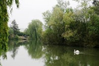 Looking towards Barn Swim at Molyneux carp lake in France. 