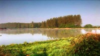 Lake photos at Roseau Large Lake 