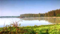Lake photos at Roseau Large Lake 