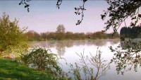 Lake photos at Roseau Large Lake 