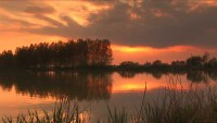 Lake photos at Roseau Large Lake 