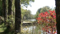 Lake photos at Vaux 