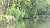 Lake photos at Vaux 