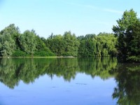 Looking from the showers at Molyneux carp lake in France. 