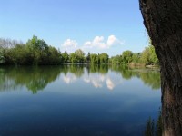 View down the lake at Molyneux carp lake in France. 