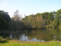 Lake photos at Oakwood 