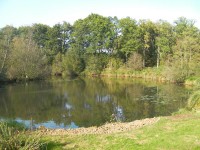 Lake photos at Oakwood 