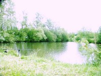 Cat lake at Morgane carp lake in France. 