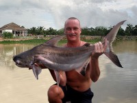 Chao phraya Catfish at Thailand carp lake in France. 