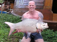 Giant Siamese Carp at Thailand carp lake in France. 