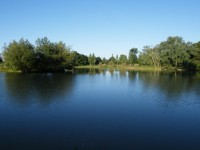 Lake photos at Oakview 