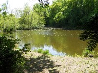 Lake photos at Oakwood 