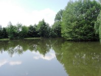 Lake photos at Toms 