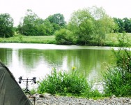 Carp lake at Morgane carp lake in France. 