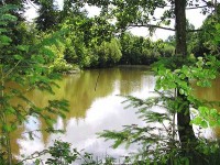 Lake photos at Hideaway 