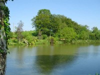 Lake photos at Genets 