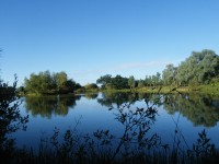 Lake photos at Oakview 