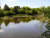 Lake photos at Oakwood 