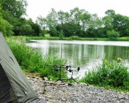 Carp lake at Morgane carp lake in France. 