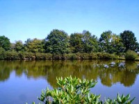 Lake photos at Glehias 