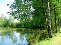 Lake photos at Genets 