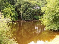 Lake photos at Alder 