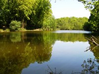 Lake photos at Oakwood 