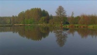 Lake photos at Roseau Large Lake 