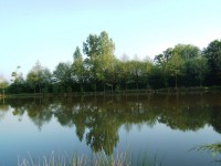 Lake photos at Toms 