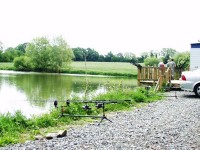 Carp lake at Morgane carp lake in France. 
