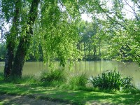 Lake photos at Genets 