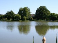 Lake photos at Lillypool 