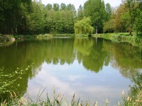 Lake photos at Bletiere 
