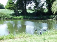 Lake photos at Watersmeet 