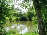 Lake photos at Genets 