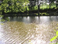 Lake photos at Hideaway 
