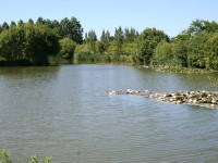 Lake photos at Lillypool 